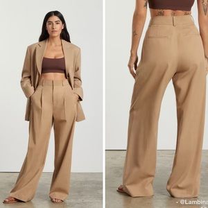 Everlane Way-High® Drape Pant NWT